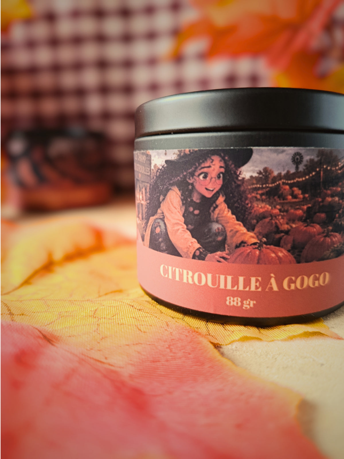 Citrouille à Gogo