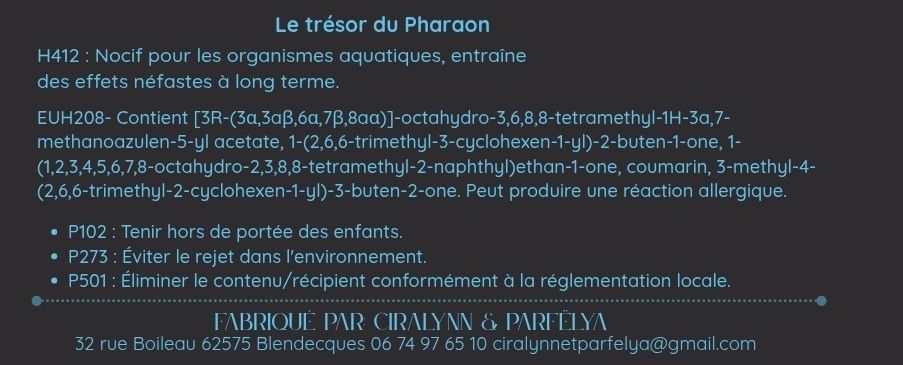 Le trésor du Pharaon