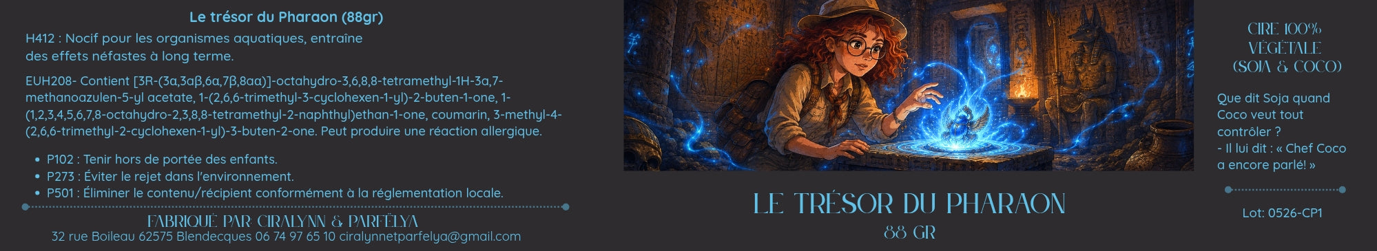 Le trésor du Pharaon