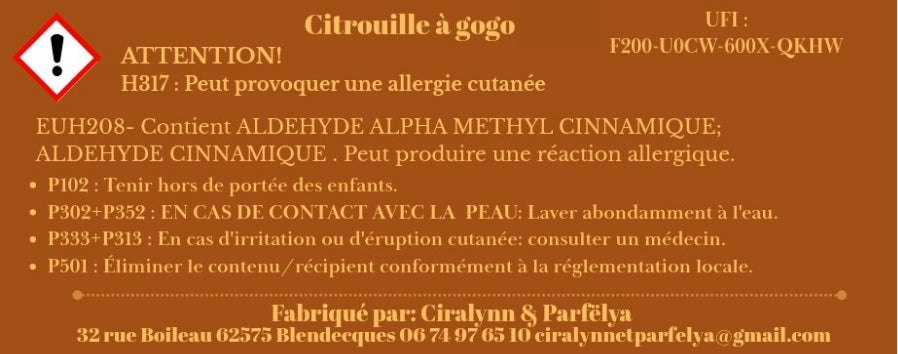 Citrouille à Gogo