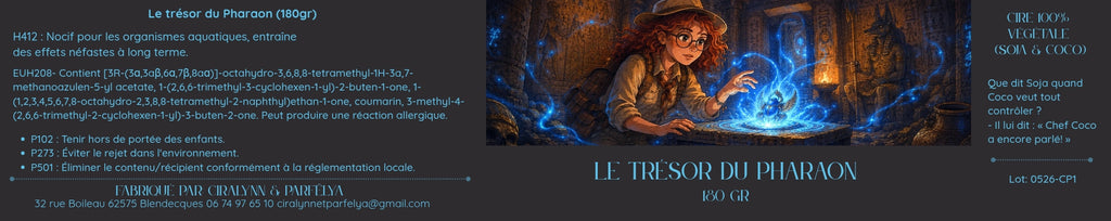 Le trésor du Pharaon