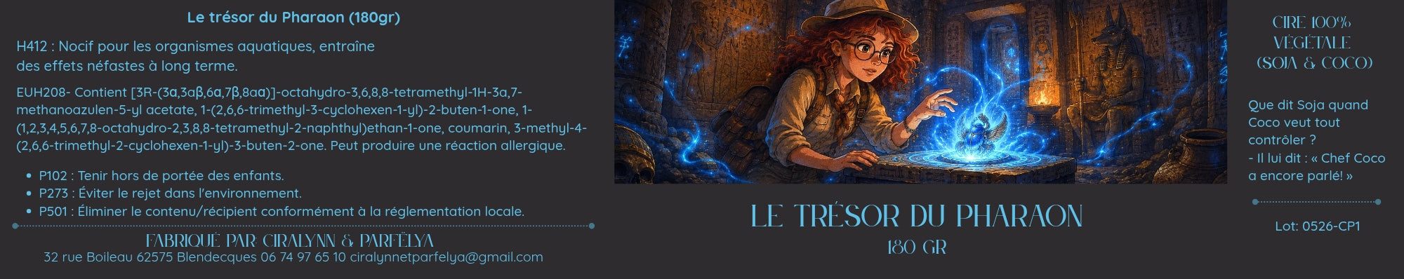 Le trésor du Pharaon